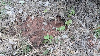 시금치6781님의 자유주제 · 자유게시판 작성글 사진