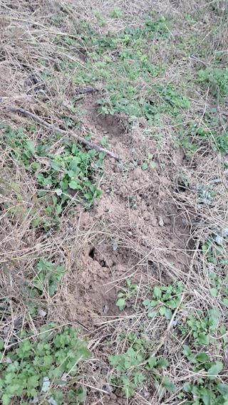 시금치6781님의 자유주제 · 자유게시판 작성글 사진