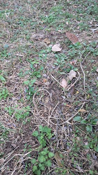 시금치6781님의 자유주제 · 자유게시판 작성글 사진