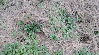 시금치6781님의 자유주제 · 자유게시판 작성글 사진