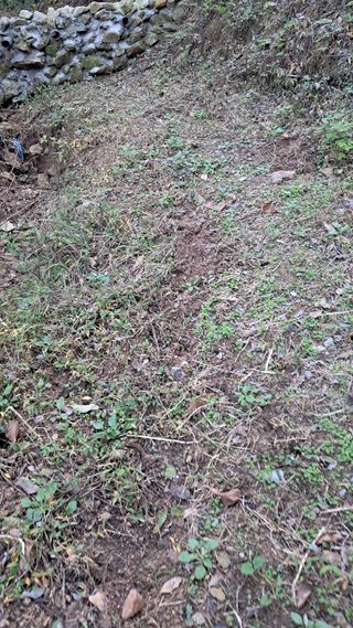 시금치6781님의 자유주제 · 자유게시판 작성글 사진