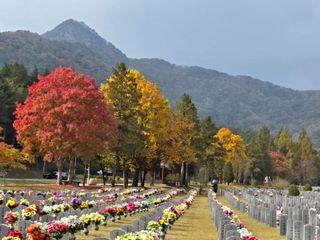 조정숙(1955)님의 자유주제 · 자유게시판 작성글 사진