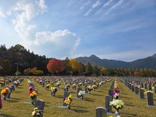 조정숙(1955)님의 자유주제 · 자유게시판 작성글 사진