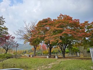 조정숙(1955)님의 자유주제 · 자유게시판 작성글 사진