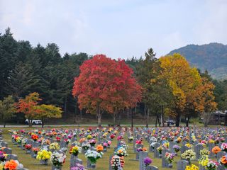 조정숙(1955)님의 자유주제 · 자유게시판 작성글 사진