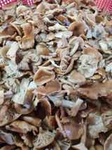 팜모닝 자유주제·자유게시판 게시글 이미지