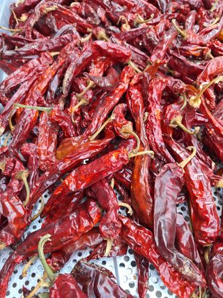 장지영님의 자유주제 · 자유게시판 작성글 사진