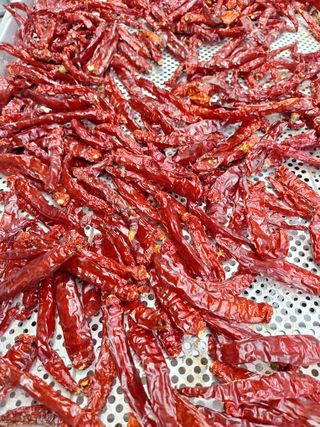 장지영님의 자유주제 · 자유게시판 작성글 사진