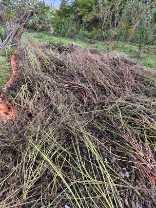 정석구님의 자유주제 · 자유게시판 작성글 사진