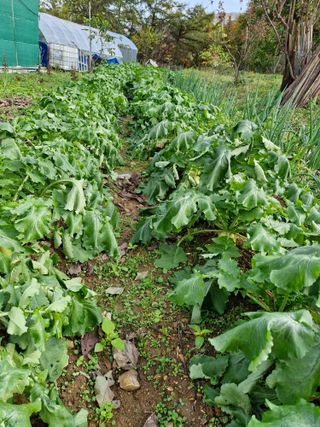 정석구님의 자유주제 · 자유게시판 작성글 사진