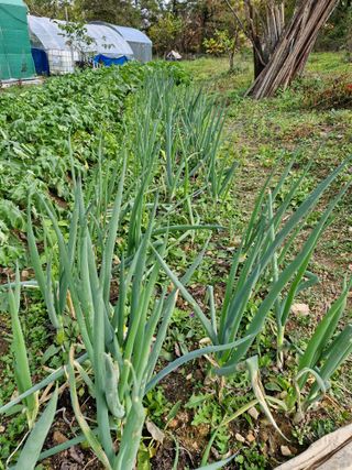 정석구님의 자유주제 · 자유게시판 작성글 사진