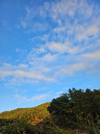 하늘아래사과나무님의 사과 · 영농일지 작성글 사진