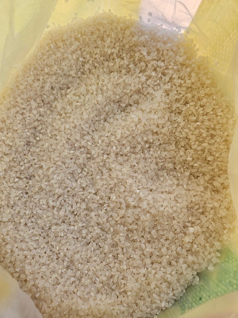 장터 상품 [전라남도 무안군 2025년 햅쌀] 썸네일