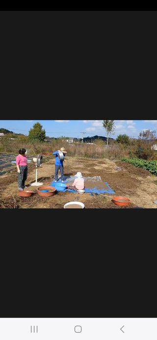 0103440880님의 들깨 · 영농일지 작성글 사진