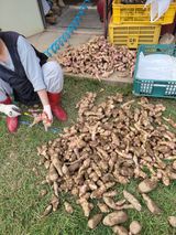 팜모닝 자유주제·자유게시판 게시글 이미지