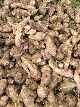 나는 나님의 자유주제 · 자유게시판 작성글 사진