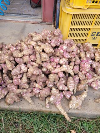 나는 나님의 자유주제 · 자유게시판 작성글 사진