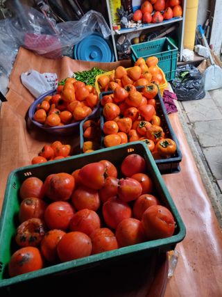김용대님의 자유주제 · 자유게시판 작성글 사진