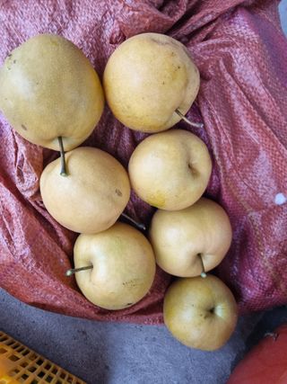 김용대님의 자유주제 · 자유게시판 작성글 사진