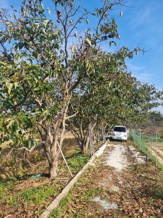 정석범님의 자유주제 · 자유게시판 작성글 사진