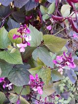 팜모닝 자유주제·자유게시판 게시글 이미지