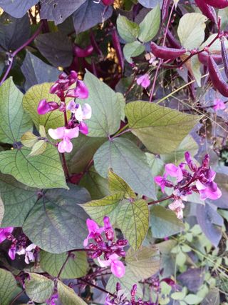 신현철님의 자유주제 · 자유게시판 작성글 사진