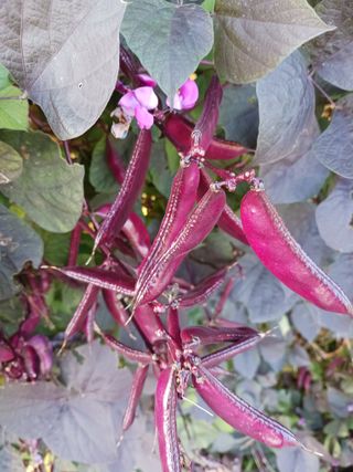 신현철님의 자유주제 · 자유게시판 작성글 사진
