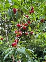 팜모닝 농사경력 최고의 순간을 알려주세요.·참여글 게시글 이미지