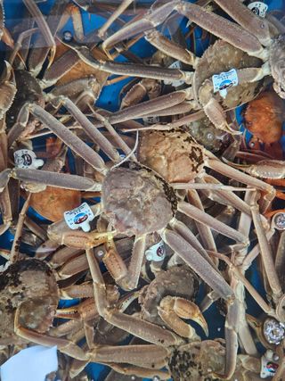 노가네수산님의 자유주제 · 사진전 작성글 사진