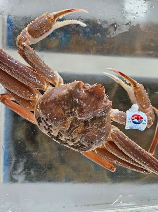 노가네수산님의 자유주제 · 사진전 작성글 사진