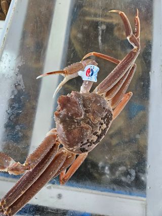 노가네수산님의 자유주제 · 사진전 작성글 사진