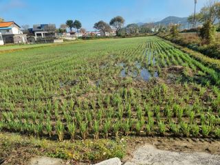 안평식님의 농사경력 최고의 순간을 알려주세요. · 참여글 작성글 사진