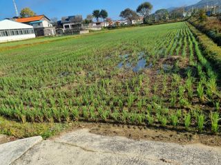 안평식님의 농사경력 최고의 순간을 알려주세요. · 참여글 작성글 사진