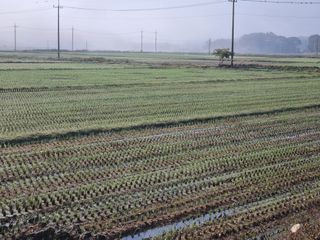 안평식님의 농사경력 최고의 순간을 알려주세요. · 참여글 작성글 사진