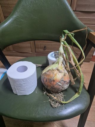 송광만님의 농사경력 최고의 순간을 알려주세요. · 참여글 작성글 사진