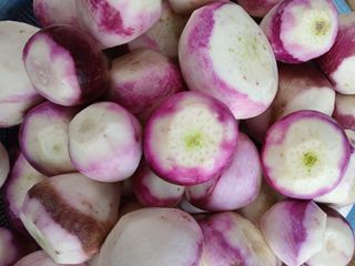 인생은 소풍처럼님의 자유주제 · 자유게시판 작성글 사진