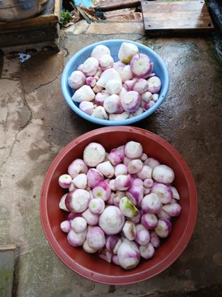 인생은 소풍처럼님의 자유주제 · 자유게시판 작성글 사진