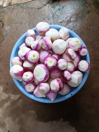 인생은 소풍처럼님의 자유주제 · 자유게시판 작성글 사진