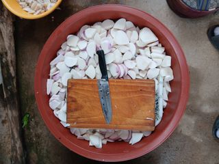 인생은 소풍처럼님의 자유주제 · 자유게시판 작성글 사진