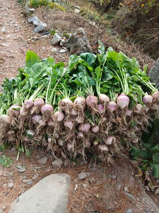 인생은 소풍처럼님의 자유주제 · 자유게시판 작성글 사진