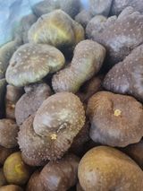 팜모닝 자유주제·자유게시판 게시글 이미지