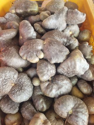 이송화님의 자유주제 · 자유게시판 작성글 사진