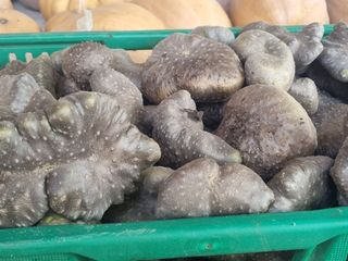 이송화님의 자유주제 · 자유게시판 작성글 사진