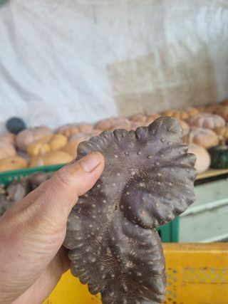 이송화님의 자유주제 · 자유게시판 작성글 사진