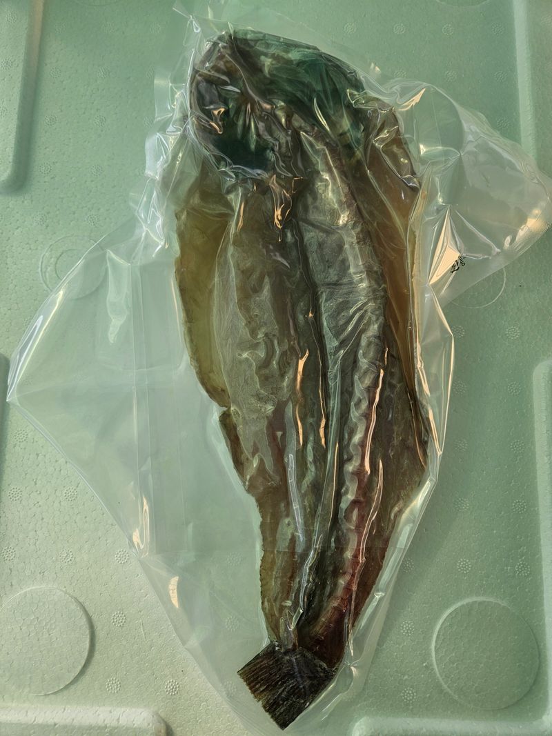 김진국님의 장터 판매 상품 [튀김,구이 등 다용도로 조리 가능한 민어새끼(통치, 약 35cm 길이 400g)2마리] 첨부 사진