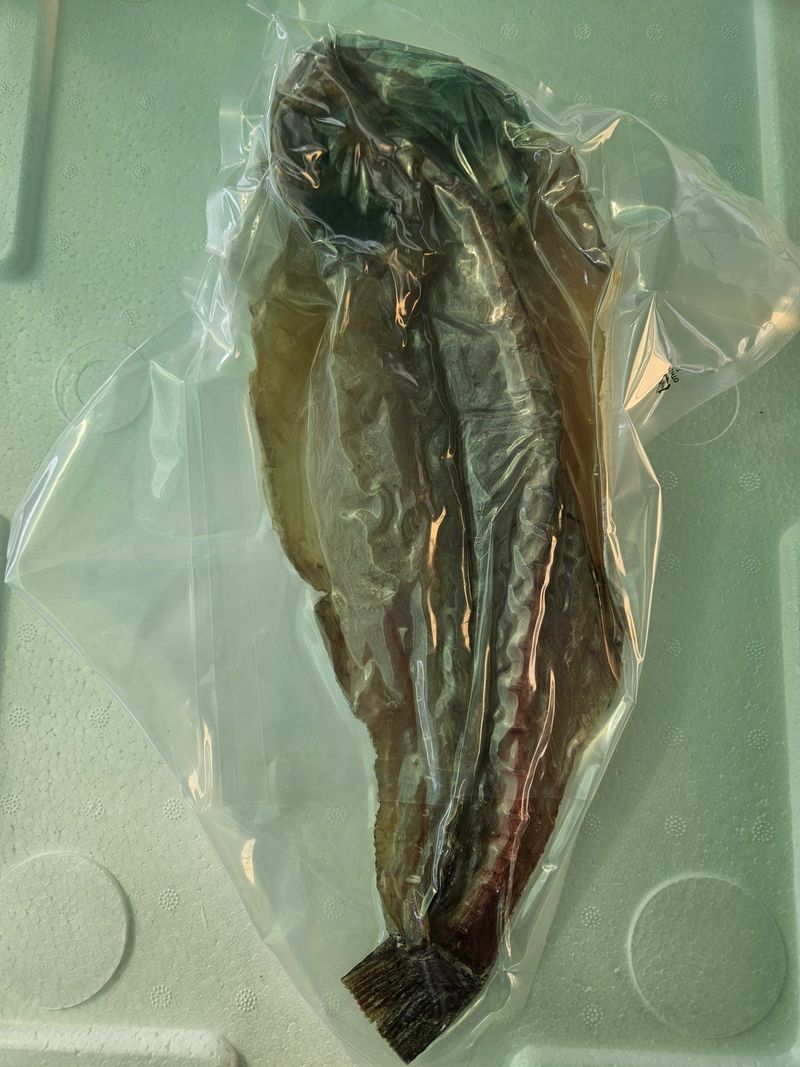 김진국님의 장터 판매 상품 [튀김,구이 등 다용도로 조리 가능한 민어새끼(통치, 약 35cm 길이 400g)2마리] 첨부 사진