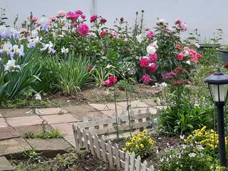 박상대님의 농사경력 최고의 순간을 알려주세요. · 참여글 작성글 사진