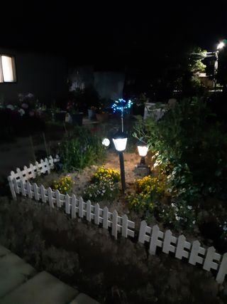 박상대님의 농사경력 최고의 순간을 알려주세요. · 참여글 작성글 사진