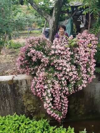 박상대님의 농사경력 최고의 순간을 알려주세요. · 참여글 작성글 사진