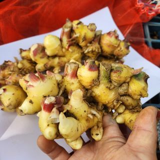 조한솔님의 작성글 사진